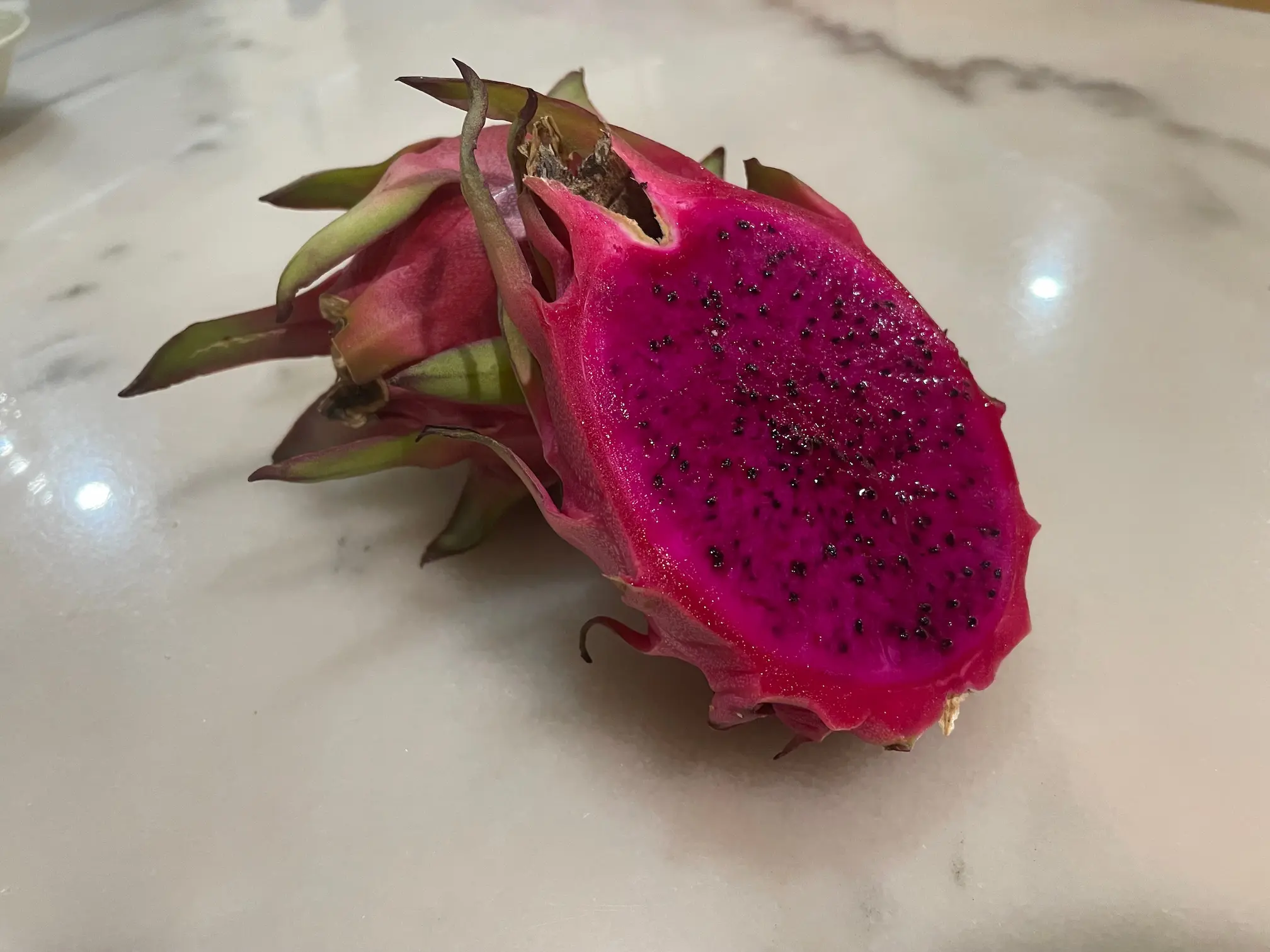 Dragon fruit harvest at De Klomp Homestead