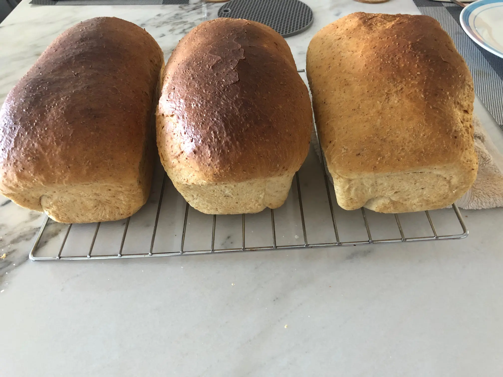 Freshly baked homemade whole wheat loaves cooling at De Klomp Homestead